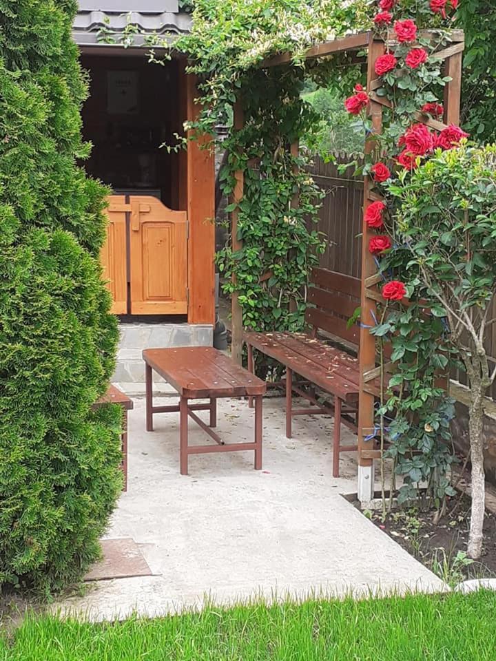 Apartamento Casa Fetic Nehoiu Exterior foto