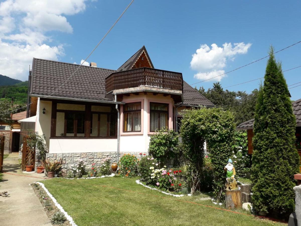 Apartamento Casa Fetic Nehoiu Exterior foto