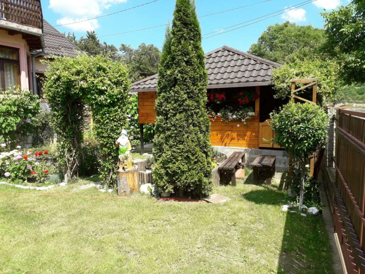 Apartamento Casa Fetic Nehoiu Exterior foto